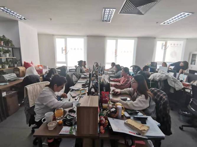 政府采购定点机票代理有哪些服务特征 政府采购定点机票代理有哪些